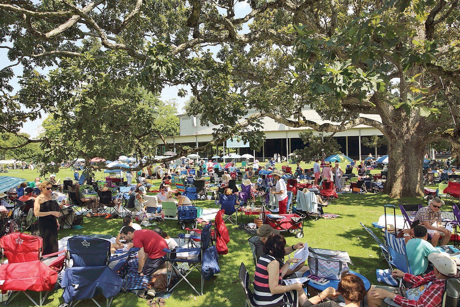 Tanglewood lawn filled with people